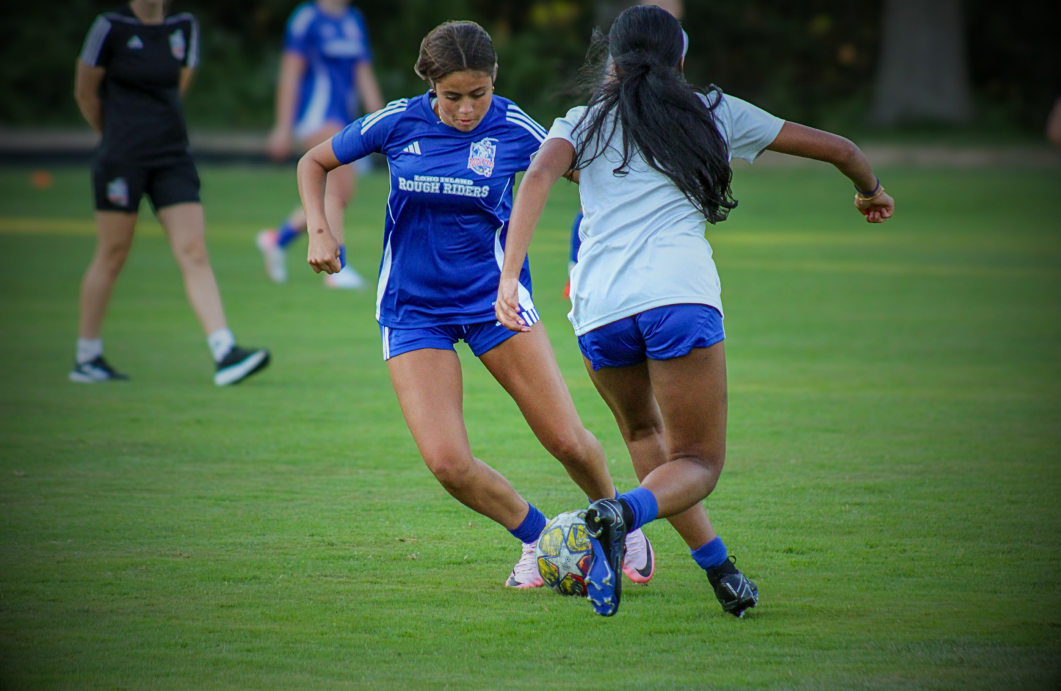 Select – Long Island Rough Riders